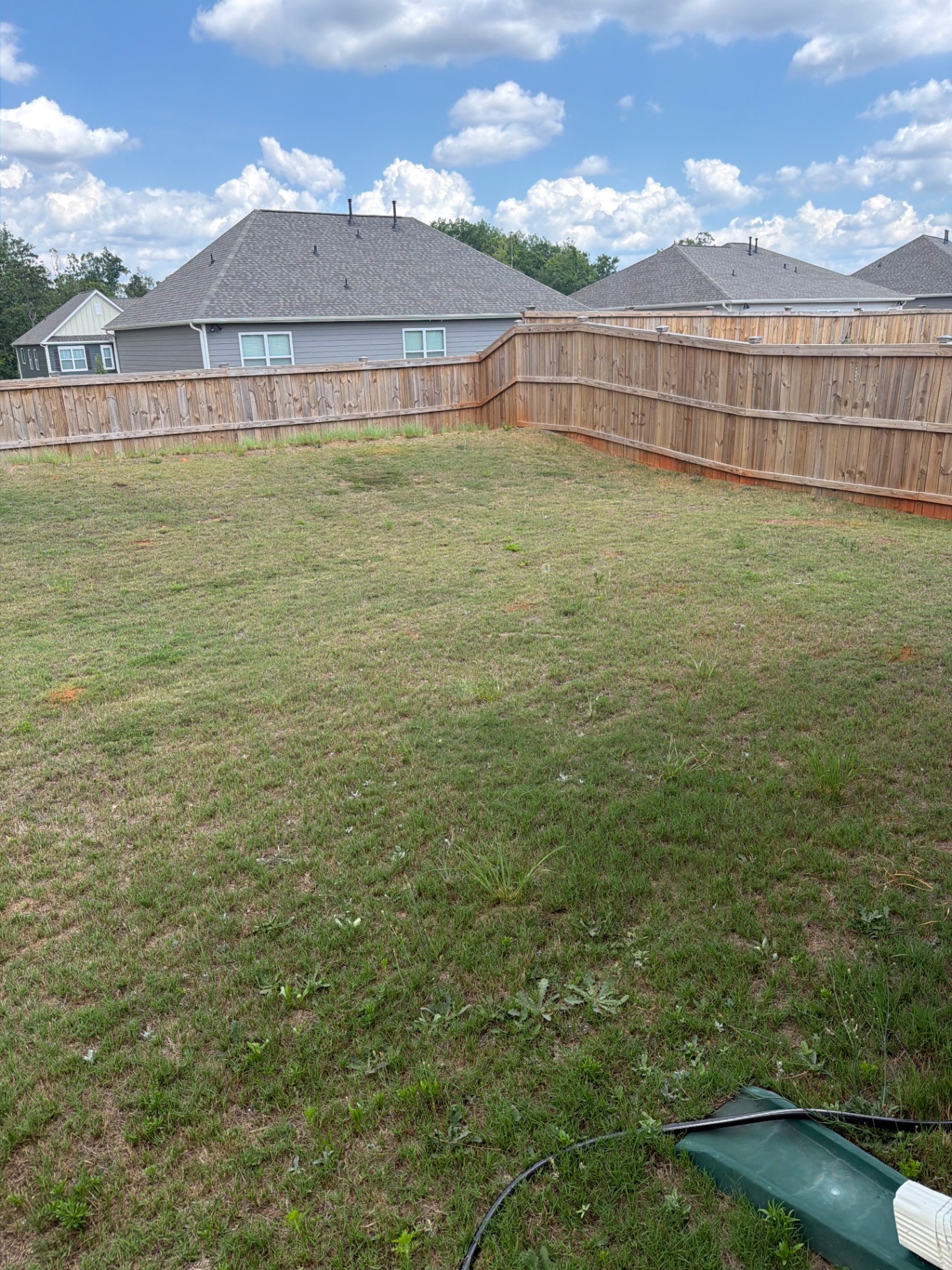 Lawn before AlphaTurf treatment
