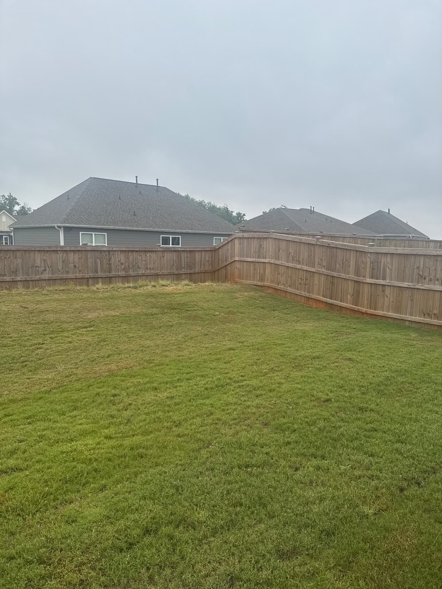 Lawn after 6 weeks of AlphaTurf treatment