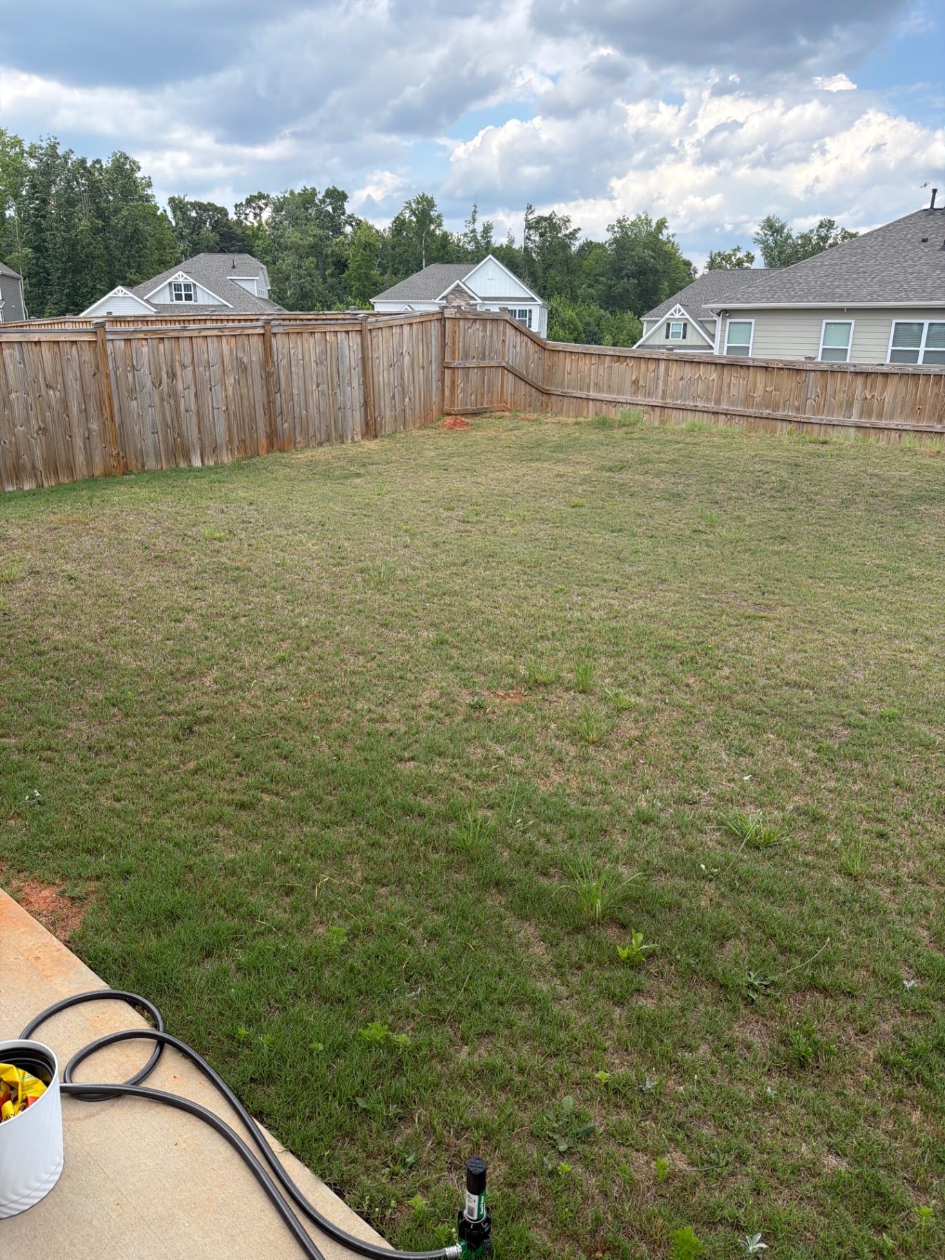 Lawn before AlphaTurf treatment
